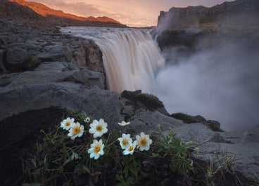 Der Wasserfall Dettifoss in Sommerlicht getaucht und mit der Kamera festgehalten.