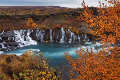 Bei dem Wasserfall Hraunfossar in Westisland handelt es sich eigentlich um mehrere kleine Flüsse.