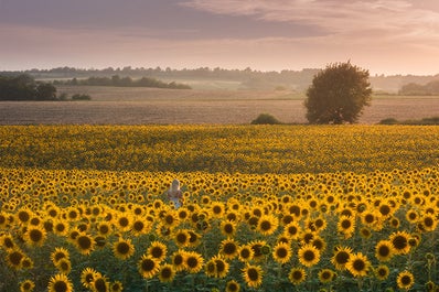 Provence Paradise | 6 Day Photo Tour in France - day 1