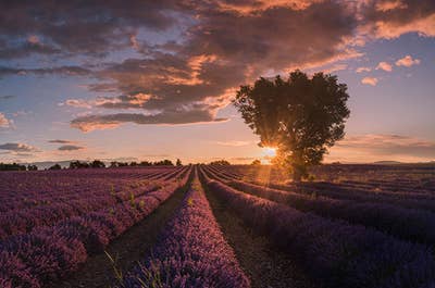 Provence Paradise | 6 Day Photo Tour in France - day 3