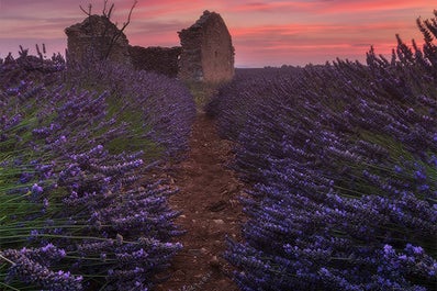 Provence Paradise | 6 Day Photo Tour in France - day 5