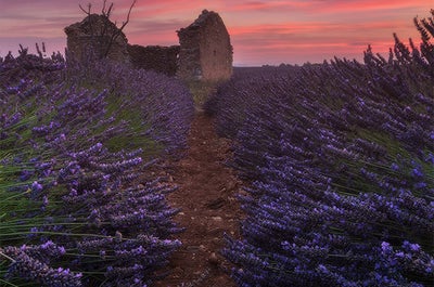 Provence Paradise | 6 Day Photo Tour in France - day 5