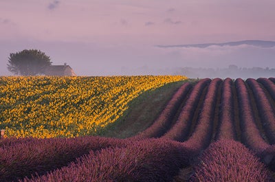 Provence Paradise | 6 Day Photo Tour in France - day 6