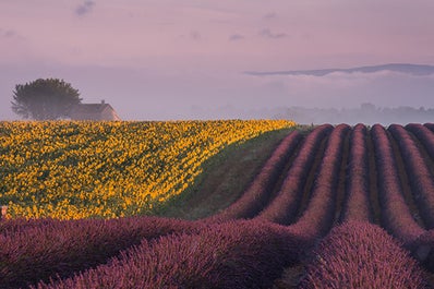 Provence Paradise | 6 Day Photo Tour in France - day 6