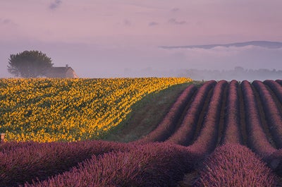 Provence Paradise | 6 Day Photo Tour in France - day 6