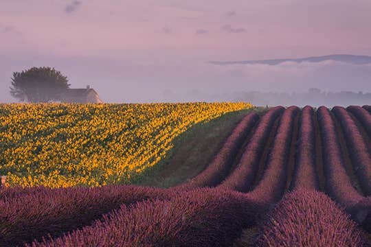 Provence Paradise | 6 Day Photo Tour in France