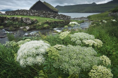 Faroe Islands 6 Day Summer Photography Tour - day 6