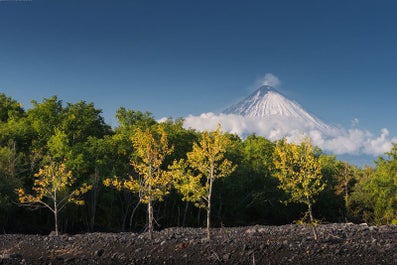 Russia's Kamchatka Peninsula | 15 Day Photo Tour - day 9