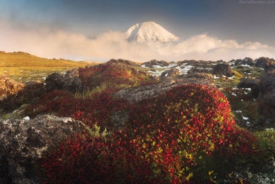 Russia's Kamchatka Peninsula | 15 Day Photo Tour - day 11