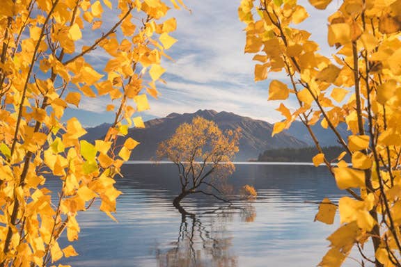 New Zealand Spring Photo Workshop