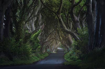 Northern Ireland Photo Workshop - day 2