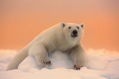 Arctic Photography Expedition to Svalbard - day 1