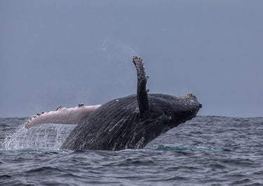 Arctic Photography Expedition to Svalbard - day 5