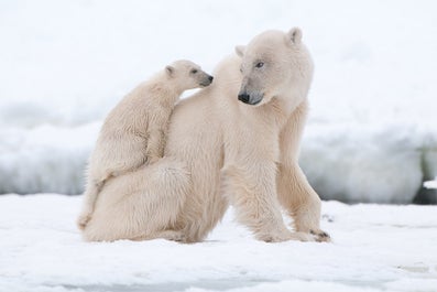 Arctic Photography Expedition to Svalbard - day 7