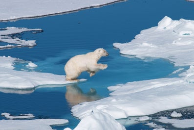 Arctic Photography Expedition to Svalbard - day 10