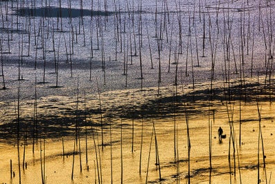 Culture & Landscape Photography Tour in China's Fujian Province - day 4