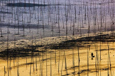 Culture & Landscape Photography Tour in China's Fujian Province - day 4