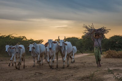 Golden Myanmar | 12 Day Travel Photography Workshop - day 2