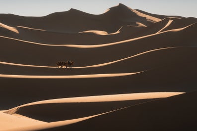 Shadows between sand dunes create a surreal effect in the Gobi desert.