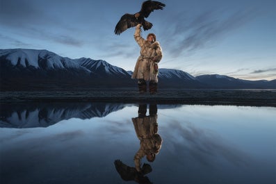 A Mongolian hunter and his eagle are perfectly reflected in shallow waters.