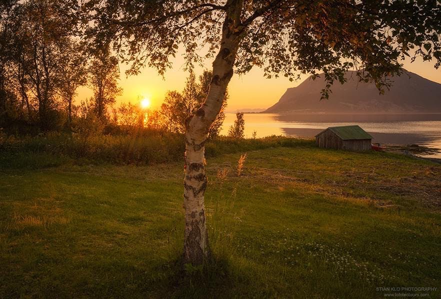 Midnight sun in Lofoten