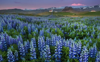 10 Day Circle of Iceland Photo Workshop in the Summer