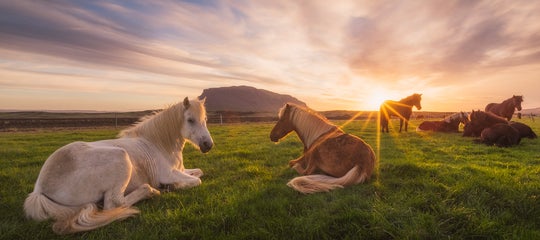 iceland photo tours iurie71.jpg