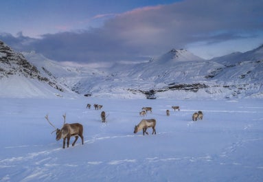 11 Day Northern Lights Photo Workshop around Iceland - day 6