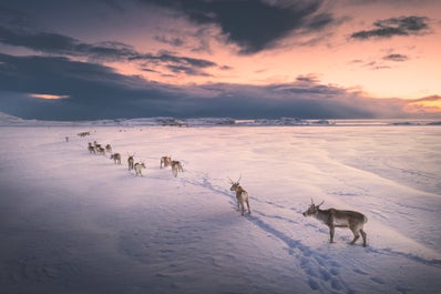 14-дневный фототур вокруг Исландии: северное сияние и ледяные пещеры - day 8