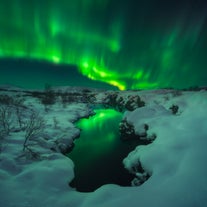 Die Nordlichter tanzen über dem Thingvellir-Nationalpark am Himmel.