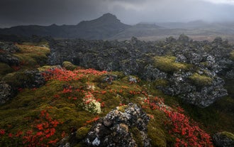 9 Day Photo Workshop Capturing Autumn in Iceland