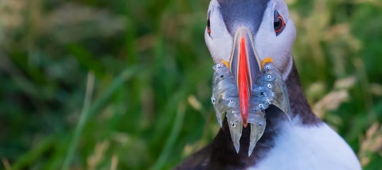 iceland photo tours36.jpg