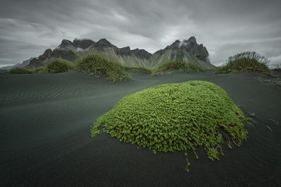 Mount Vestrahorn on the Stokksnes peninsula is a favourite among photographers due to its peculiar angles and shapes which make for an impressive photo whatever the time of day or year.