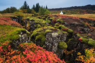 Þingvellir National Park looks brilliant in its warm autumnal shades.