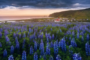 Le village de Vík sur la côte sud en été.