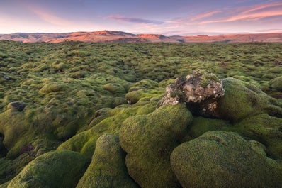 Die Mondlandschaft des Lavafelds Eldhraun an der Südküste.