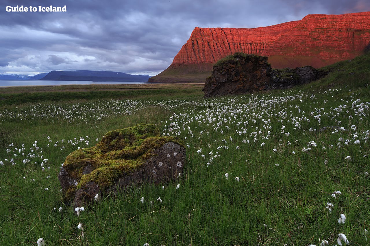 Travel Photography Guide to the Westfjords of Iceland
