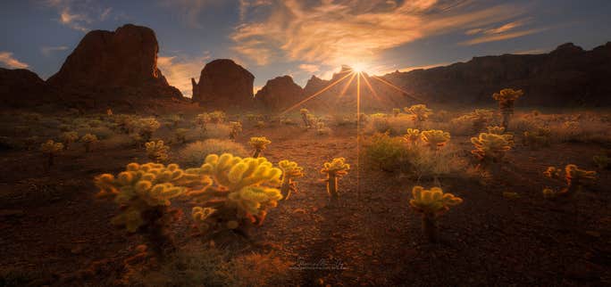 Creating Starburst Effects in Your Landscape Photography