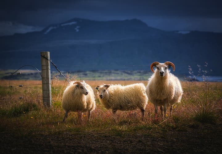 Photography in Iceland Through the Seasons