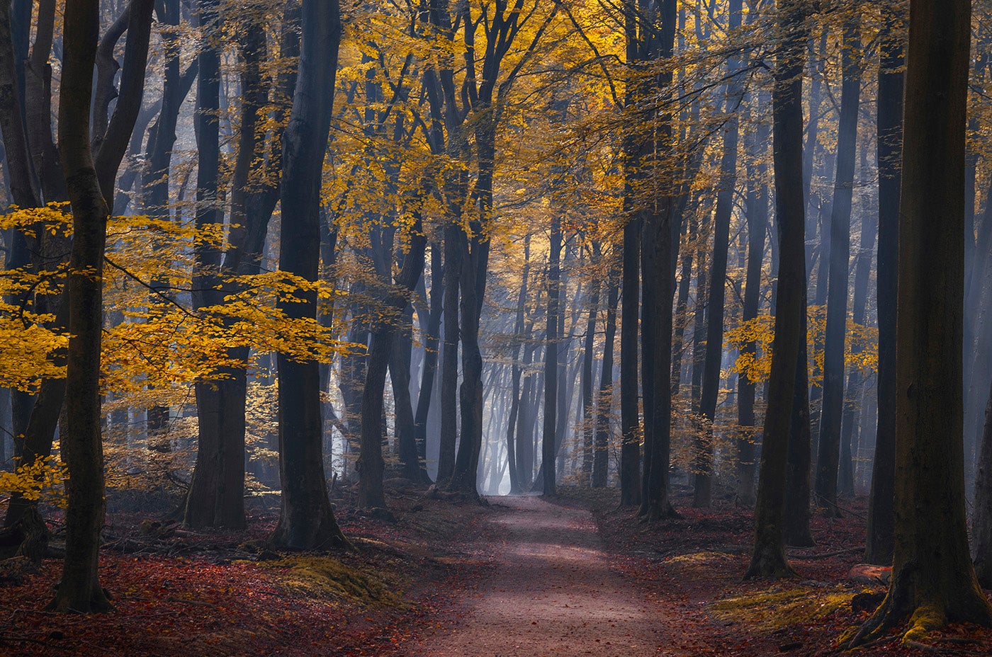 Colourful Playground - Photo by Rob Visser