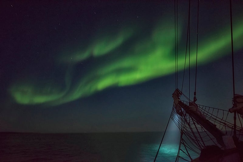 Zen Aurora. Photo by: 'Kathleen Croft'.