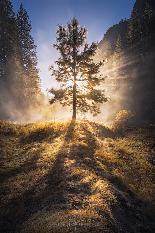 Rays of light. Photo by: 'Michael Shainblum'. Rays of light. Photo by: 'Michael Shainblum'.