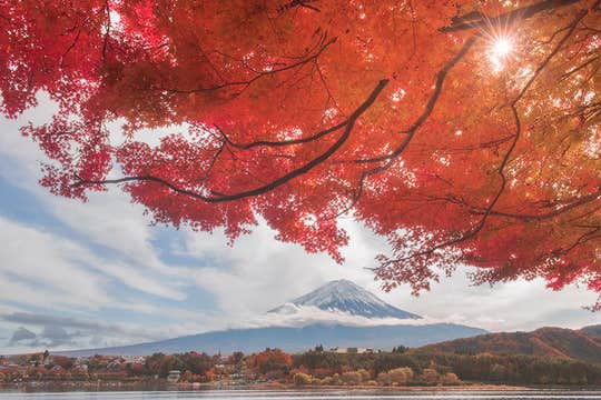 Japan Photography Workshop in Autumn