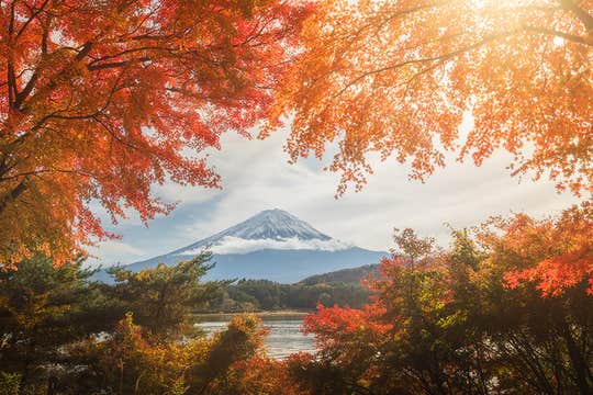 Japan Photography Workshop in Autumn