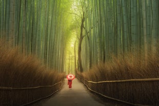 Japan Photography Workshop in Autumn