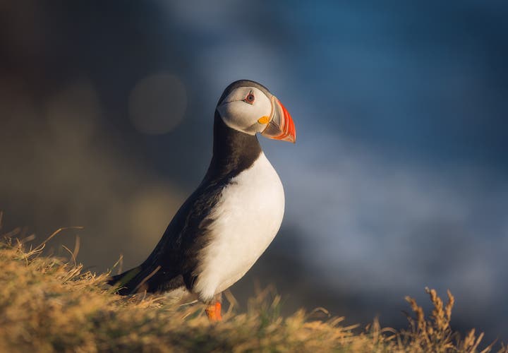 Best Photography Contests to Enter in 2020