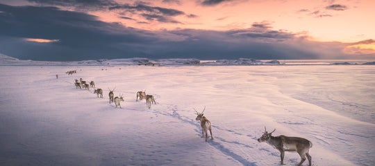 iceland photo tours iurie08 (1).jpg