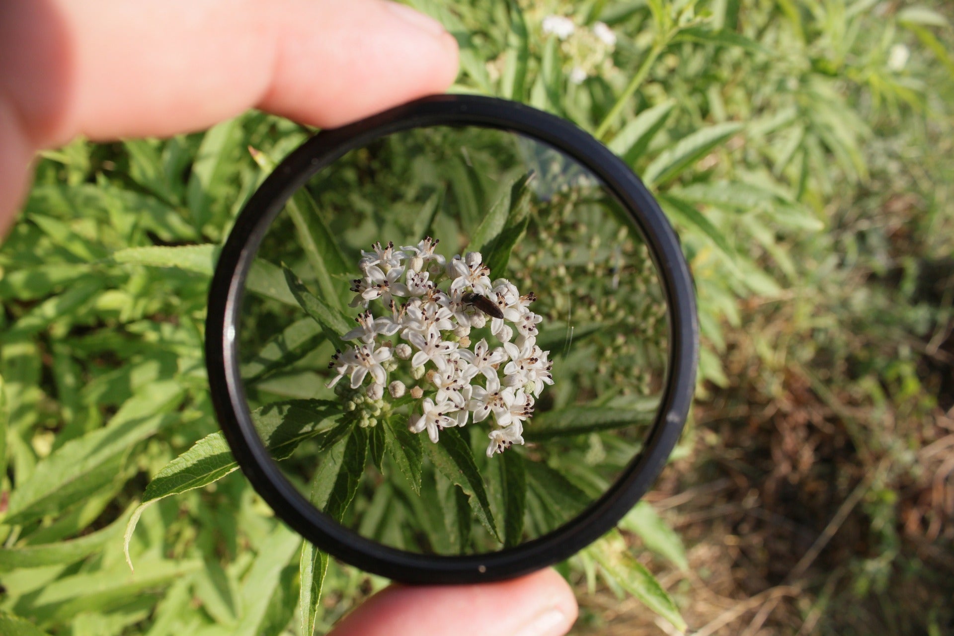 How to use a Polarizing Filter