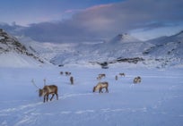 iceland photo tours iurie06 (1).jpg
