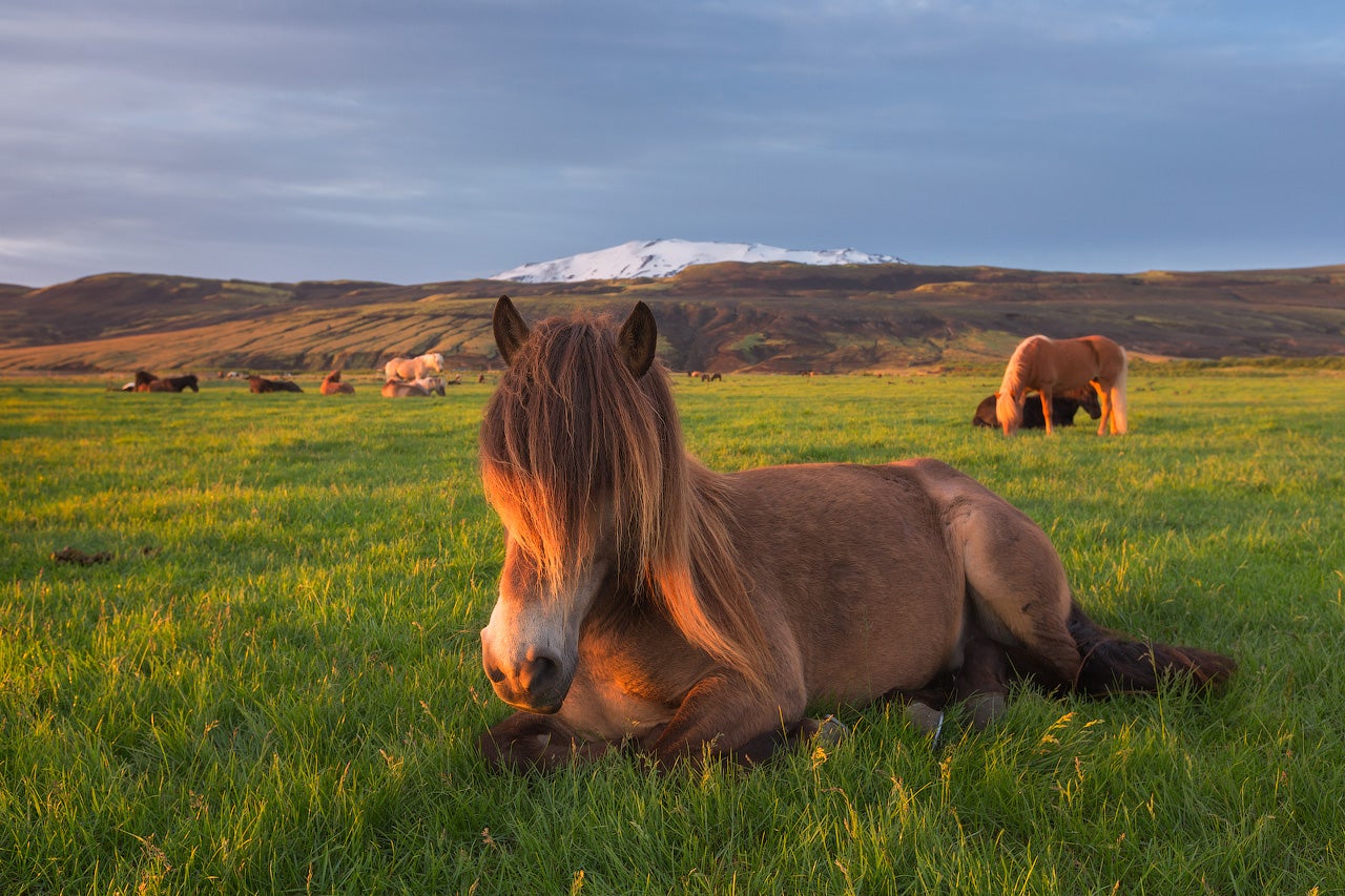 Tips for Planning a Photography Trip to Iceland